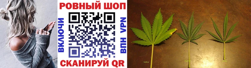 Где купить наркотики Терек СОЛЬ  АМФЕТАМИН  Меф мяу мяу  ГАШИШ  Бутират  Канабис 