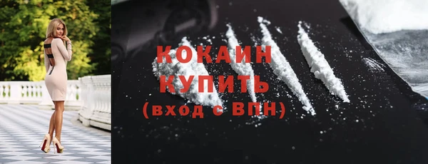 PSILOCYBIN Аркадак