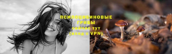spice Балабаново