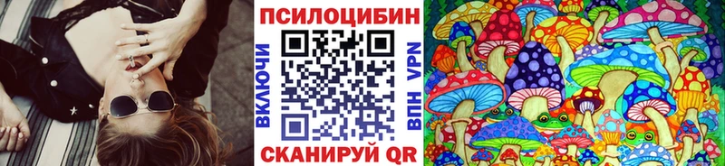 купить  цена  Терек  Галлюциногенные грибы Cubensis 