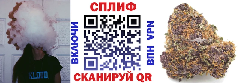 Канабис конопля  Терек 